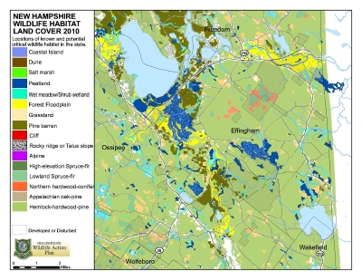 Landcover Map 2010